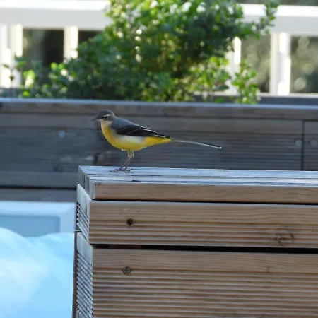 Galini Tatil Evi Mikros Gialos