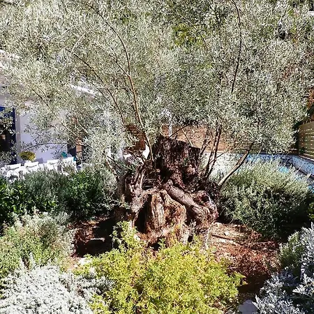 Galini * Mikros Gialos