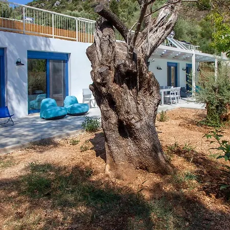 Galini * Mikros Gialos