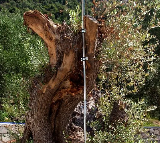 Casa de Férias Galini Mikros Gialos